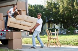 Kingston Moving Company KT2